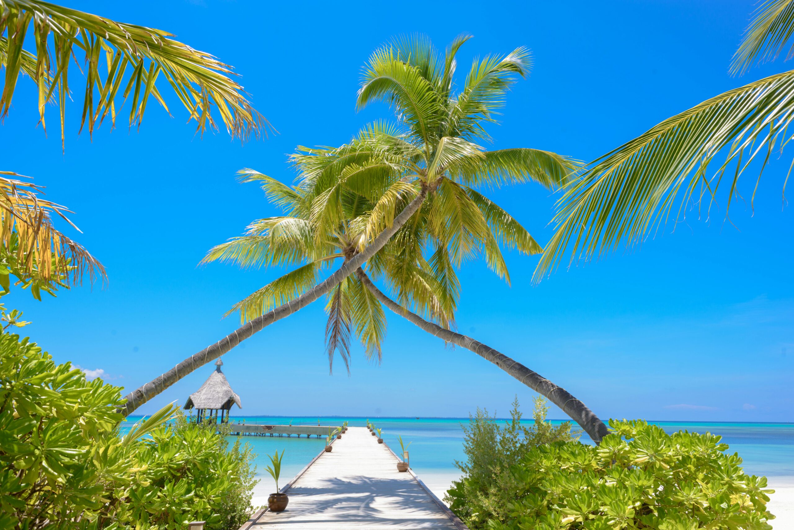 Finding the Perfect Beach Vacation: A Guide to Sun, Sand, and Serenity